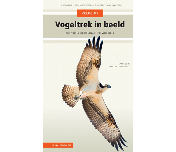 knnv_uitgeverij_veldgids_vogeltrek_in_beeld[1].jpg